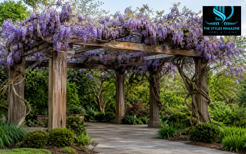 wisteria trellis